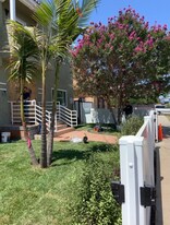 5234 20th St, Unit Lower R in Los Angeles, CA - Building Photo