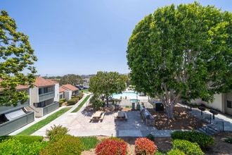 311 Weston Cir in Vista, CA - Foto de edificio - Building Photo