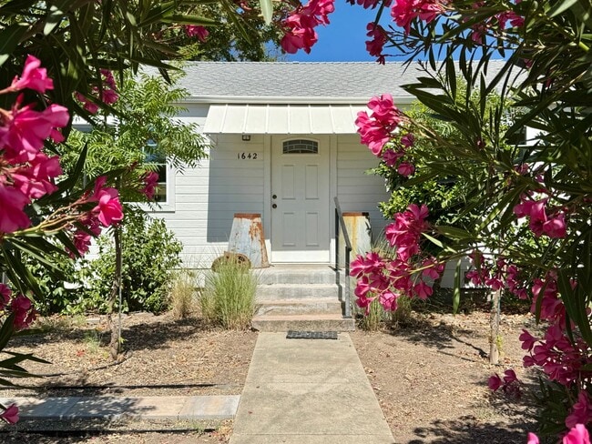 1642 Tainter St in St Helena, CA - Building Photo - Building Photo