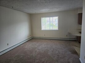 142 Spruce St, Unit 142 Spruce St Apts in Athens, PA - Building Photo