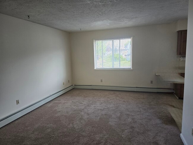 142 Spruce St, Unit 142 Spruce St Apts