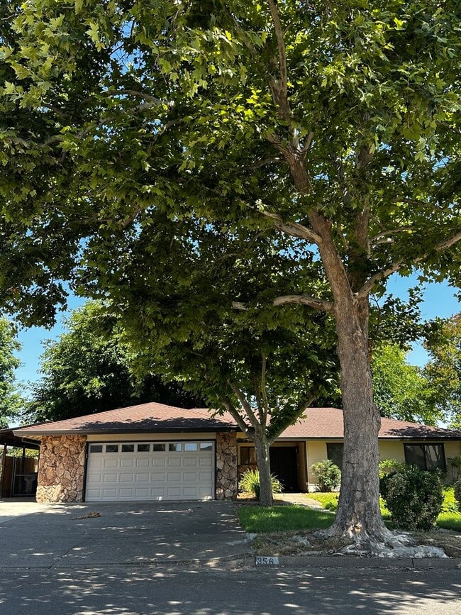 property at 356 Rivella Vista Dr