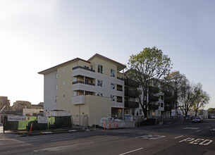 Alta Torre in Palo Alto, CA - Building Photo - Building Photo