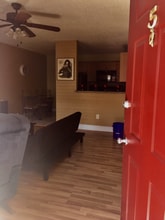 4021 My Lady Ln in Land O Lakes, FL - Building Photo - Building Photo
