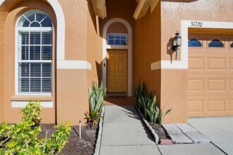 31720 Marchester Dr in Wesley Chapel, FL - Building Photo - Building Photo