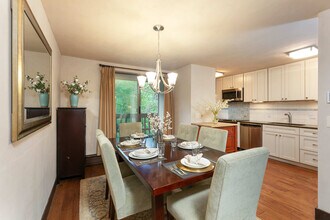 1024 E Hopkins Ave in Aspen, CO - Building Photo - Building Photo