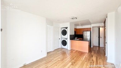 311 Richmond St E in Toronto, ON - Building Photo - Building Photo