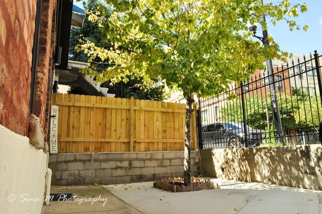2009 W 17th St in Chicago, IL - Building Photo - Building Photo