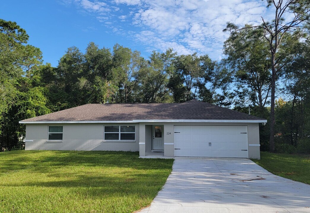 224 Adelphi St in Inverness, FL - Building Photo