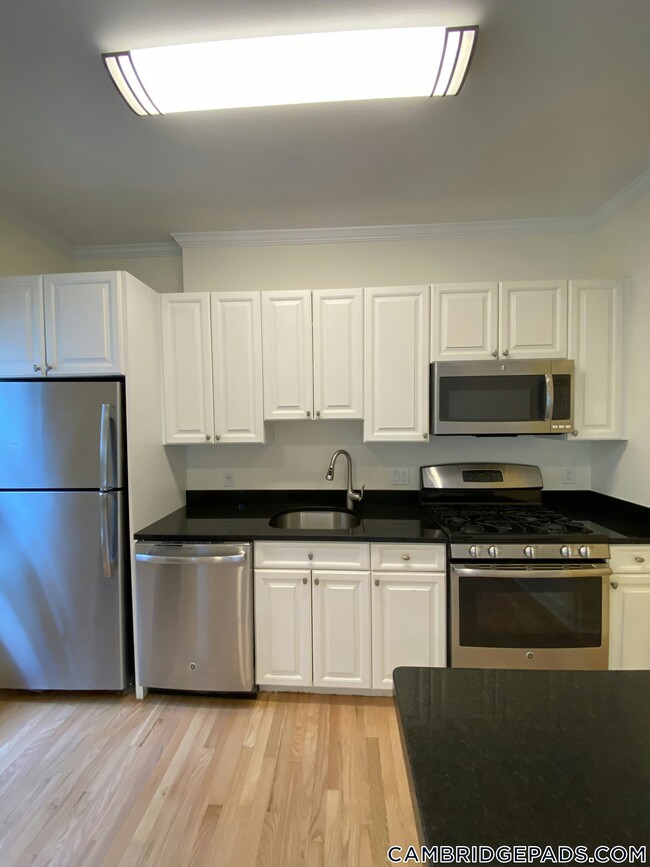 65 Langdon St in Cambridge, MA - Building Photo - Building Photo