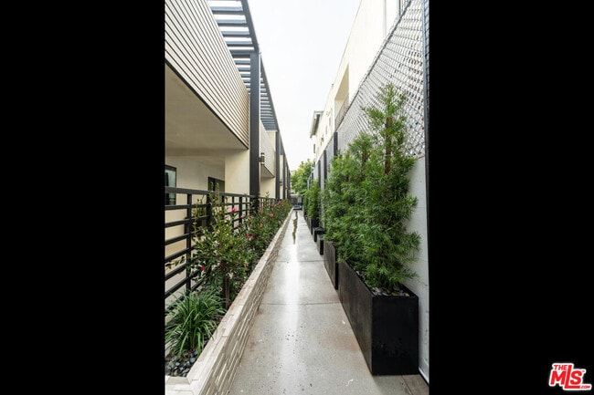 1262 N Sweetzer Ave in West Hollywood, CA - Building Photo - Building Photo