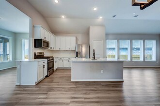464 Leadtree Loop in Mustang Ridge, TX - Building Photo - Building Photo