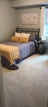 5484 Carvel Grove in Colorado Springs, CO - Building Photo - Building Photo