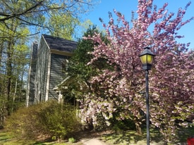 11822 Great Owl Cir in Reston, VA - Building Photo