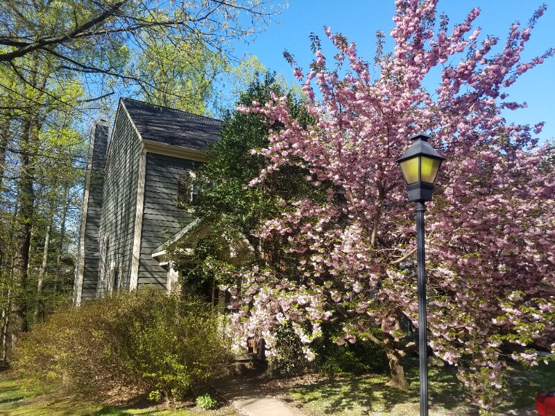 11822 Great Owl Cir in Reston, VA - Building Photo