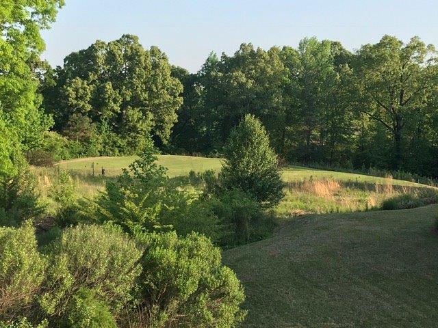 1100 Augusta Dr, Unit 1100 AugustaDriveUnit704 in Oxford, MS - Building Photo - Building Photo