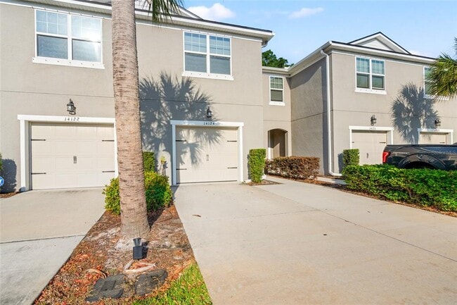 14124 Damselfly Dr in Citrus Park, FL - Building Photo - Building Photo