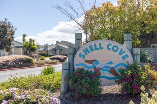 Shell Cove in Foster City, CA - Building Photo