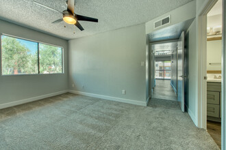 TelaVerde Apartments in Glendale, AZ - Building Photo - Building Photo