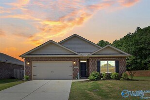 13348 Golden Hay Cir in Madison, AL - Building Photo