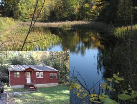 13 Water St in Bradford, NH - Building Photo