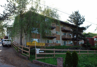 Terrace Olympus Apartments in Kent, WA - Building Photo - Building Photo