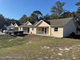 10423 Chalmer St in Spring Hill, FL - Building Photo