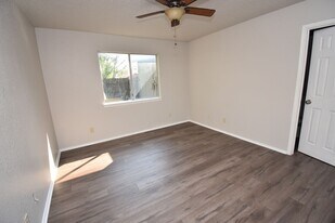 1126 Orchard Park Cir in Pflugerville, TX - Building Photo