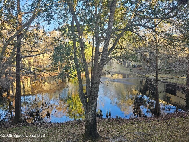 7820 Shadowood Dr in Melbourne, FL - Building Photo - Building Photo