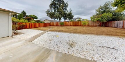 1380 Pauline Dr in Sunnyvale, CA - Foto de edificio - Building Photo