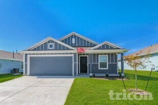 11847 Mancos Trl in Rhome, TX - Building Photo