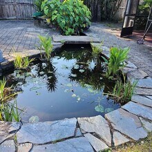 96203 Ridgewood Cir in Fernandina Beach, FL - Building Photo - Building Photo