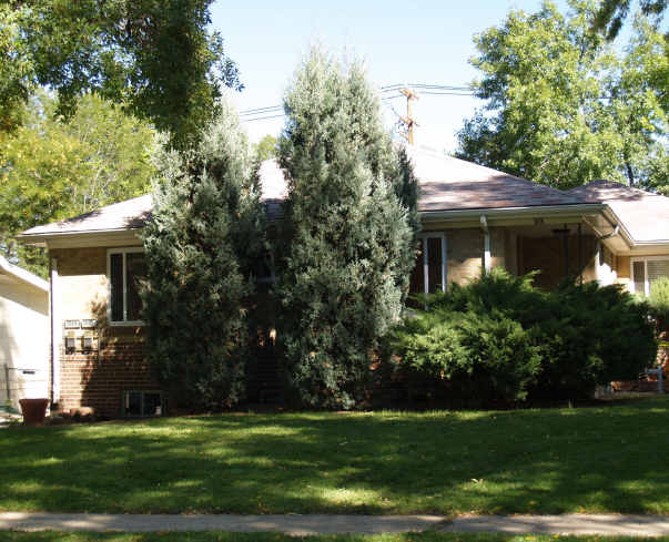 1914-1926 S Columbine St in Denver, CO - Foto de edificio - Building Photo