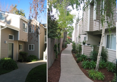 Redwood Court in Redwood City, CA - Building Photo - Building Photo