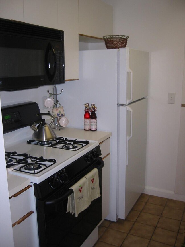 237 Independence Dr in Boston, MA - Building Photo - Building Photo