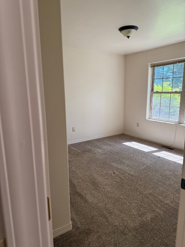 3952 Houk Way in Stevensville, MT - Building Photo - Building Photo