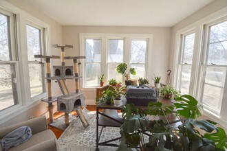 812 6th Ave SW in Rochester, MN - Foto de edificio - Building Photo
