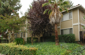 1988 Bellomy St in Santa Clara, CA - Building Photo - Building Photo