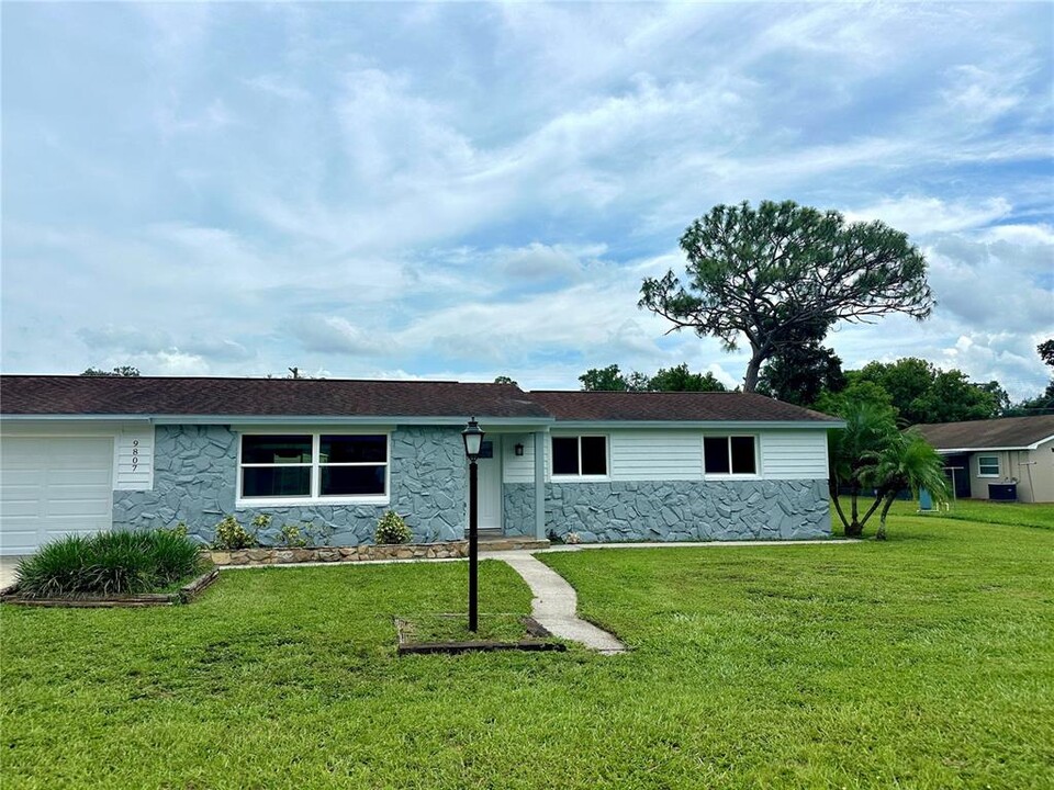 9807 N Ojus Dr in Tampa, FL - Building Photo