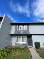 34591 Bluestone Cmn in Fremont, CA - Building Photo