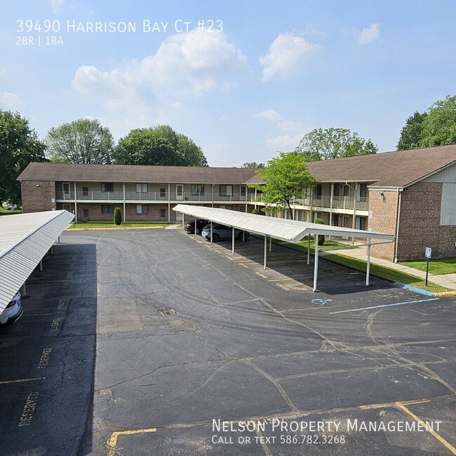 property at 39490 Harrison Bay Ct