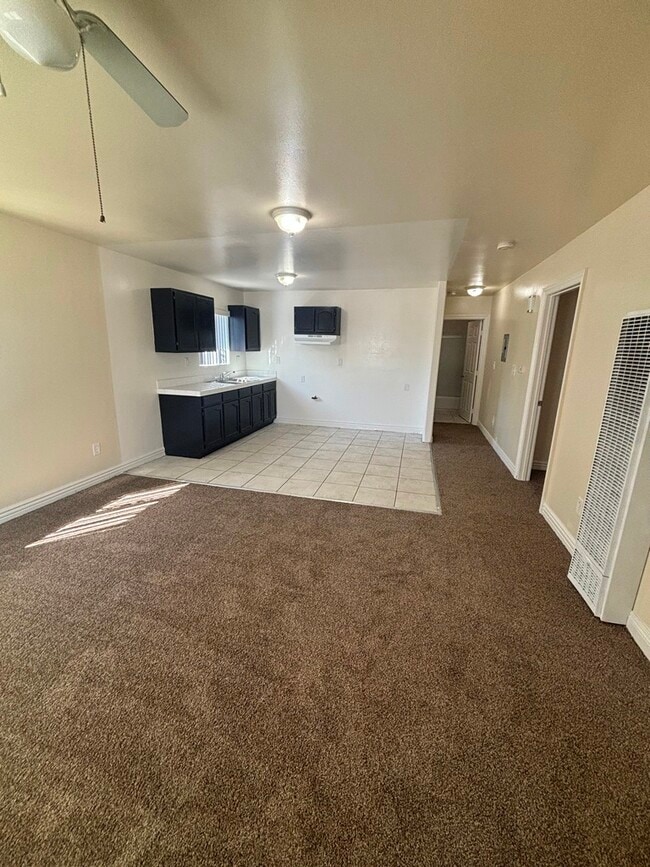 132 E 79th St in Los Angeles, CA - Foto de edificio - Building Photo