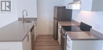 252 Catharine St N in Hamilton, ON - Building Photo - Building Photo