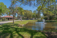 Rustlewood in Clearwater, FL - Foto de edificio - Building Photo