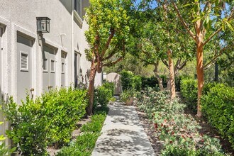1 Calle Viveza in San Clemente, CA - Building Photo - Building Photo