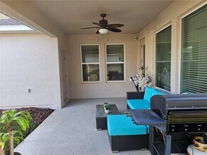 3618 Persimmon Park Dr in Wesley Chapel, FL - Building Photo - Building Photo