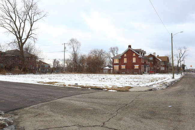 1409 Webb St in Detroit, MI - Building Photo - Building Photo