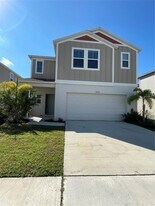34126 Scarlet Sage Ct in Wesley Chapel, FL - Building Photo