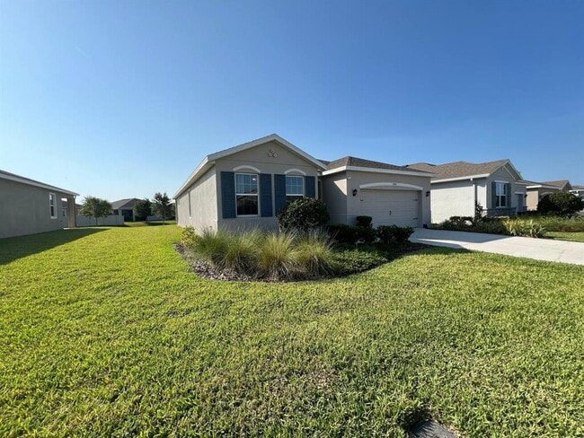 31745 Tansy Bnd in Wesley Chapel, FL - Building Photo - Building Photo