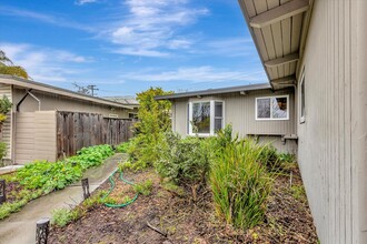 2449 Betlo Ave in Mountain View, CA - Building Photo - Building Photo